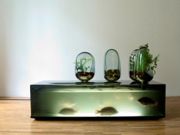 Aquário com Vasos: Sistema integrado com aquário e vasos