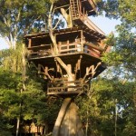 casa em arvore gigante casa em arvore gigante