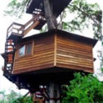 grande casa na arvore grande casa na arvore