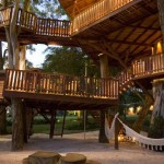incrivel casa na arvore incrivel casa na arvore