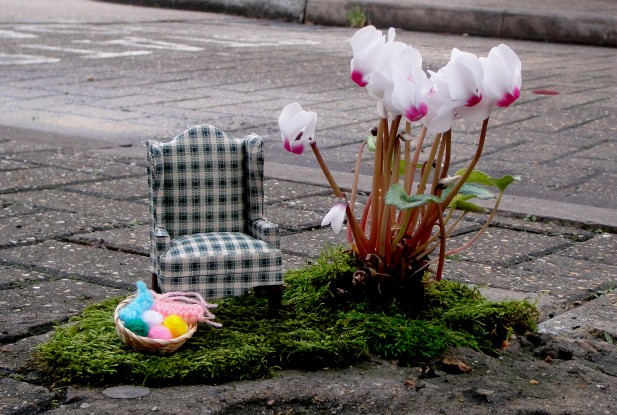 Mini jardim
