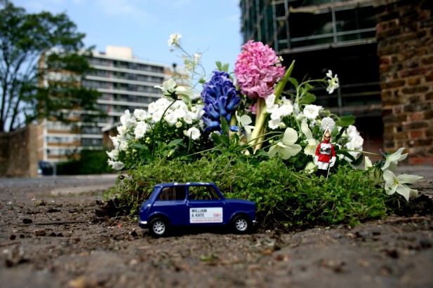 Mini jardim mini carro