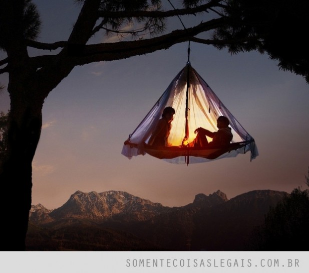 camping tree
