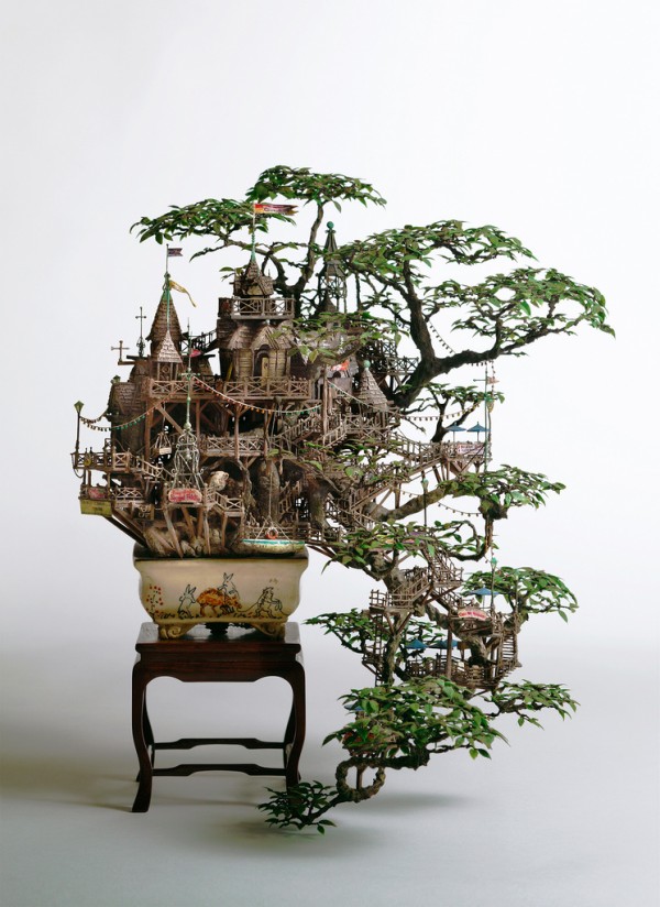 arvore bonsai