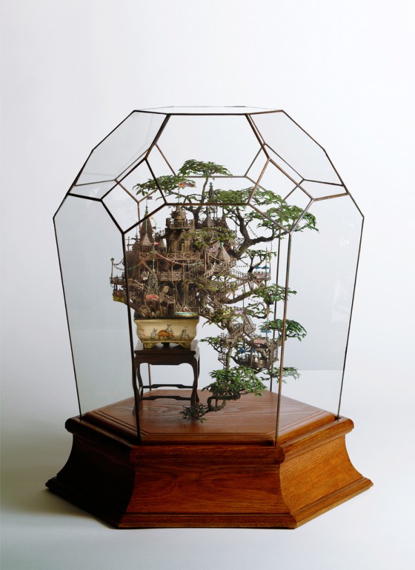 arvore planta bonsai