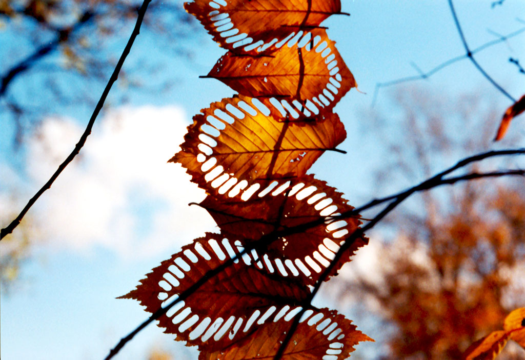 Land Art - Earth Art - Earthwork 7