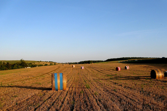 Pierre Marcel @ Flickr