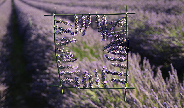 PLUMe - land art @ Flickr