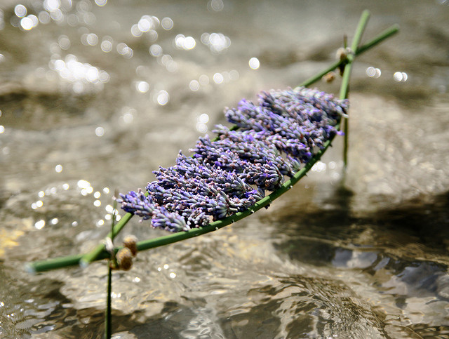 PLUMe - land art @ Flickr