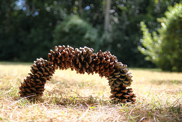 PLUMe - land art @ Flickr