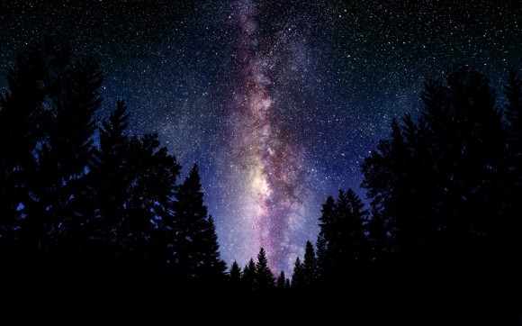 landscape-photo-forest-night-milky-way-space-sky-stars