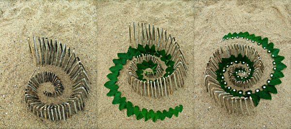 Land Art (28) - Coquillage