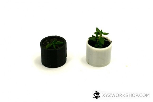 Xadrez com plantas - impressora 3D (9)