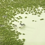 Fotos aéreas mágicas mostram paisagens de Botsuana, África