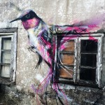 Artista brasileiro usa cores e traços frenéticos para grafitar seus pássaros mundo afora