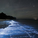 Fenômeno da bioluminescência resulta em ‘mar de estrelas’ em ilha das Maldivas