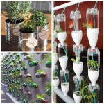 8 ideias para fazer uma mini-horta na sua casa