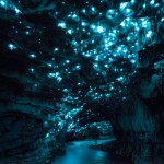 Fotografias de longa exposição captam o surreal brilho bioluminescente dessa caverna