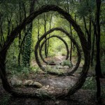 Ele passou um ano criando misteriosas esculturas naturais na floresta