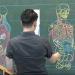 Os conhecimentos de anatomia humana desse professor estão bastante afiados