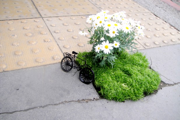 Mini jardim bicicleta