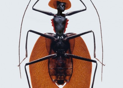 Mulheres-insetos: designer cria montagens improváveis