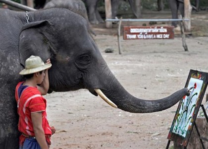 Conheça os elefantes desenhistas da Tailândia