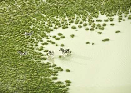 Fotos aéreas mágicas mostram paisagens de Botsuana, África