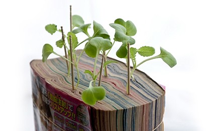 Japonês resolve cultivar plantas germinadas em mangás velhos