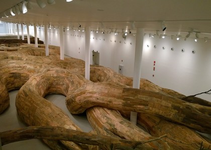 Conheça os gigantescos túneis de madeira dessa exposição no MAC USP