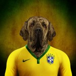 Como seriam as figurinhas da Copa com cães de cada país no lugar dos jogadores