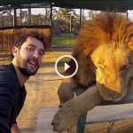 Esse cara tirou selfies inacreditáveis – e o melhor é como ele fez isso!