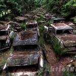 Estacionamentos abandonados criam cenários “pós-apocalípticos” no meio da floresta