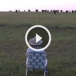 Vaqueiro toca “Lorde” no trombone e atrai a manada para perto