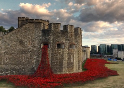 Um mar de rosas de porcelana homenageiam os mortos da Primeira Guerra em Londres