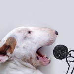 Brasileiro usa habilidades no desenho para colocar seu cão em situações inusitadas