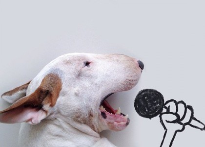 Brasileiro usa habilidades no desenho para colocar seu cão em situações inusitadas