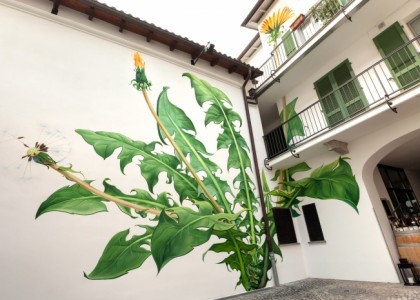 Com stop motion e grafite, artista faz ervas florescerem nos muros das cidades