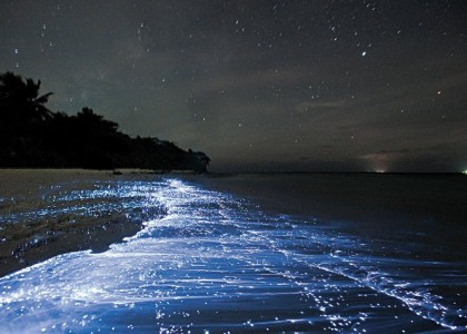 Fenômeno da bioluminescência resulta em ‘mar de estrelas’ em ilha das Maldivas