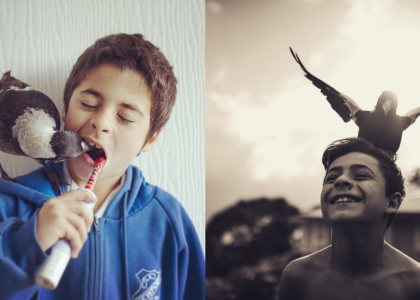A inusitada amizade entre um garoto e um pássaro registrada em fotografias inspiradoras