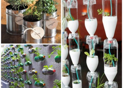 8 ideias para fazer uma mini-horta na sua casa
