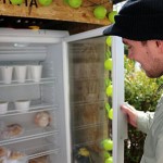 Iniciativa instala geladeira pública para incentivar a doação de comida!