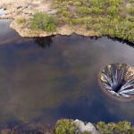 Gravado por drone, vídeo registra espécie de ralo gigante em ribeira de rio português