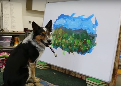 Por incrível que pareça, foi o cachorro que pintou o quadro!