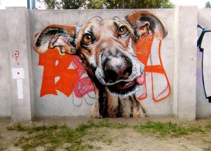 Esse grafiteiro se dedicou a espalhar pinturas de cães em muros de Barcelona