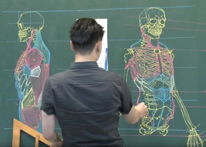 Os conhecimentos de anatomia humana desse professor estão bastante afiados