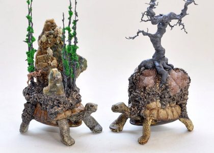 Essas tartarugas decorativas são ideais para quem gosta de contos de fadas